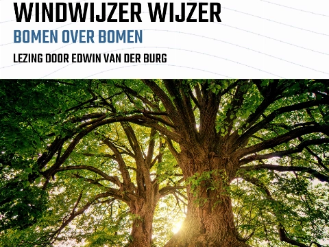 Bomen over bomen in Vlaardingen met Edwin van der Burg